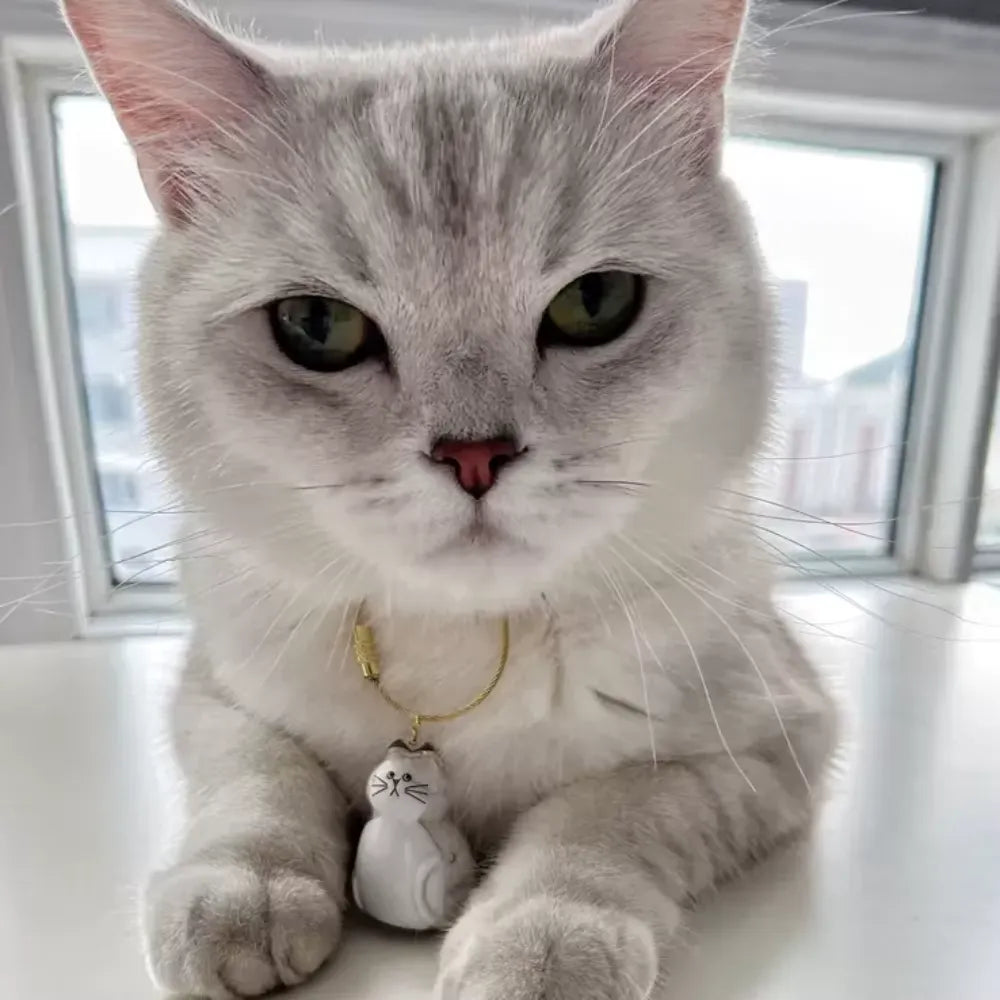 Leather Fur Keepsake – Treasure Your Catty’s Love